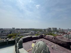 -上海东林寺(金山区)