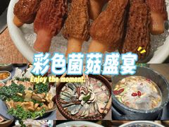 -蘑界·野生菌火锅(深业上城店)
