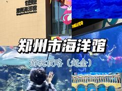 -郑州海洋馆