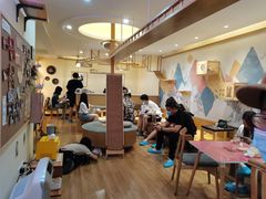 -滚猫咖啡·猫咖·猫友好撸猫(未来城店)