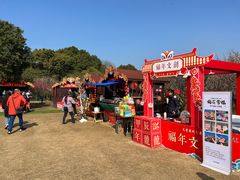 -香雪海