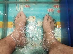 -钓鱼岛洗浴休闲会馆(卫星路店)