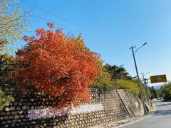 -北京十三陵国家森林公园蟒山景区