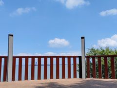 -上海滨江森林公园