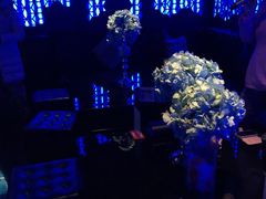 -黑桃K生日订制KTV