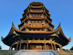 -铁山坪森林公园