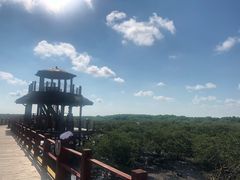 -北海金海湾红树林生态旅游区