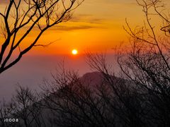 -紫金山山顶公园
