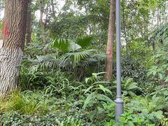 -成都市活水公园