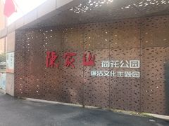 -陈家山荷花公园