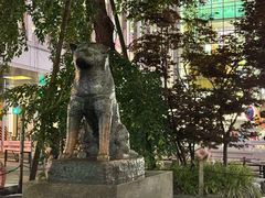 -涩谷全向十字路口