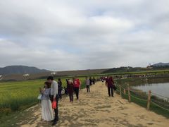 -光明小镇欢乐田园