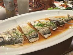 -潇湘甲鱼村(清河店)