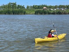 -春花秋色城市公园
