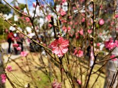 -深圳野生动物园