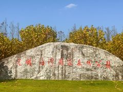 -上海海湾国家森林公园