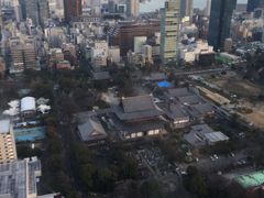 -东京塔海贼王主题公园