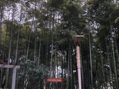 -临平公园(临平街道)