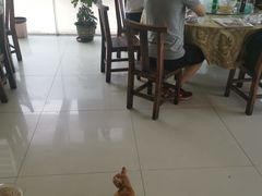 -黑公羊新疆菜(人和店)