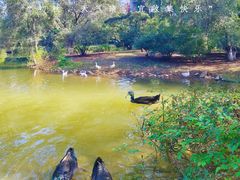 -长白岛森林公园