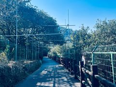 -树山生态村