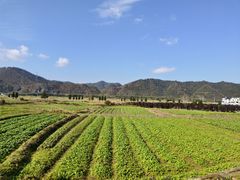 -塔川景区