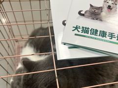 -瑞派宠物医院·24h·骨外科·皮肤科·全科宠物医疗转诊中心(沈阳浑南院)