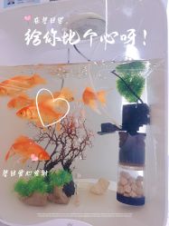 -厦门安达仕酒店·衡境SPA
