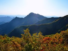-白草畔自然风景区
