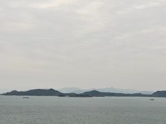 -杨梅坑