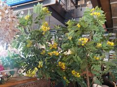 -LYFATTI 莱芙缇(赣水路店)