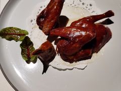 乳鸽-三号黄浦会Canton Table