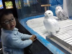 -成都浩海立方海洋公园