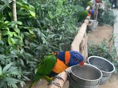 -南宫五洲植物乐园