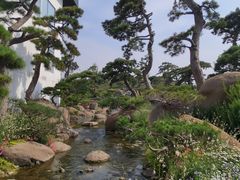 -罗红摄影艺术馆