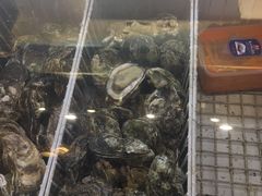 -蚝抵食·湛江生蚝(湾北路店)