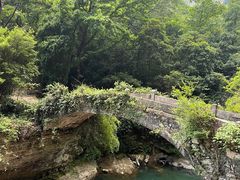 -雁荡山灵峰景区