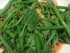 -巴依老爷新疆美食(常营店)
