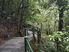 -井冈山风景名胜区