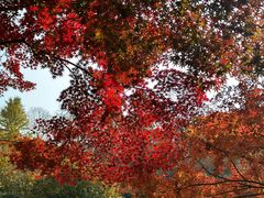 -莹珠阁·私房菜