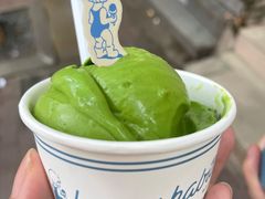 -海比甜店·意式手工冰激淋happy habit gelato
