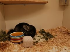 -龙猫仔乐园(惠福东路店)