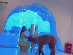 -Blue Concept Cafe&Farm·關於藍