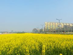 -中国天府农业博览园