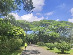 -番禺大夫山森林公园