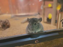 -酷嗒动物文化乐园(cutezoo西溪乐天城店)