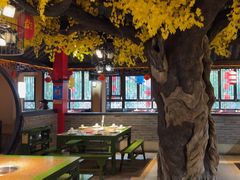 -九庄火锅(龙游店)