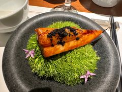 -觀芷隐轩