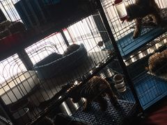-赢吧Bliss音乐酒吧