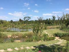 -上海长兴岛郊野公园